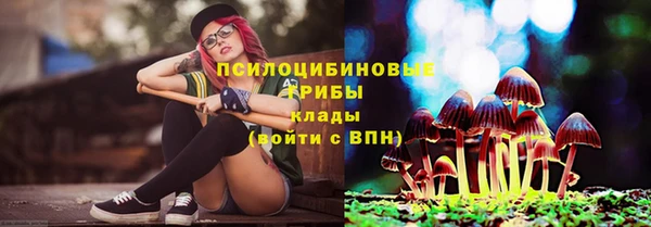 шишки Осташков