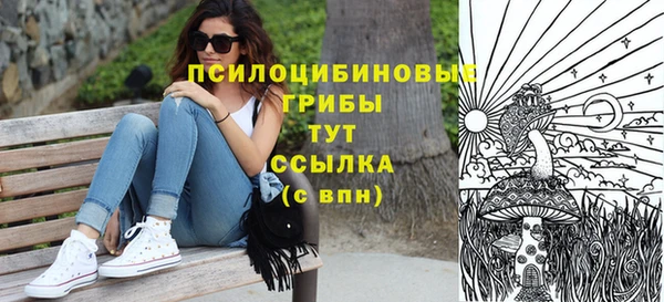 шишки Осташков