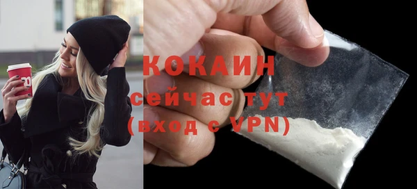молекула духа Осинники