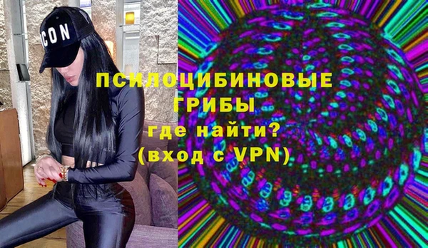 молекула духа Осинники