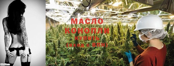 шишки Осташков