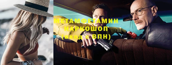 шишки Осташков