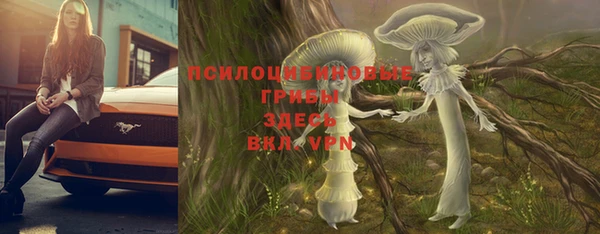 молекула духа Осинники