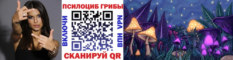 Псилоцибиновые грибы мухоморы  Эртиль 