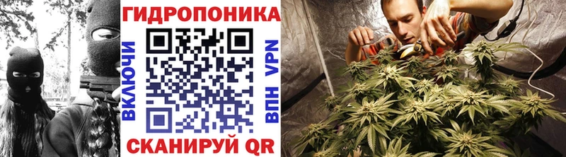 Марихуана OG Kush Эртиль